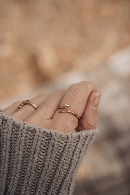 Enchanted Coil Ring (adjustable)