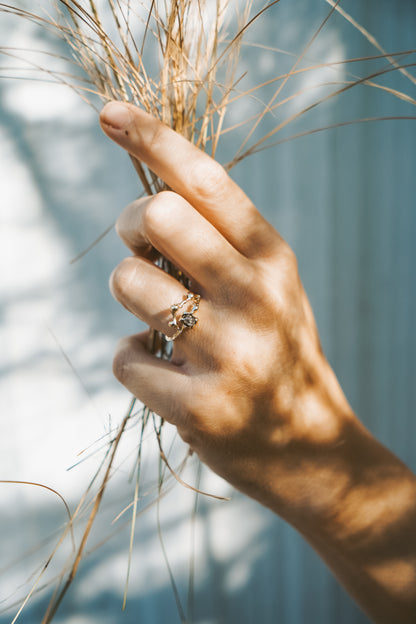 Celestial Arch Ring with Salt and Pepper Diamond